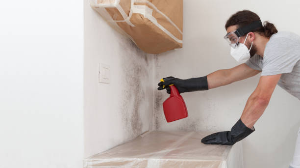Professional Crawl Space Mold Remediation technician working in Worcester, MA