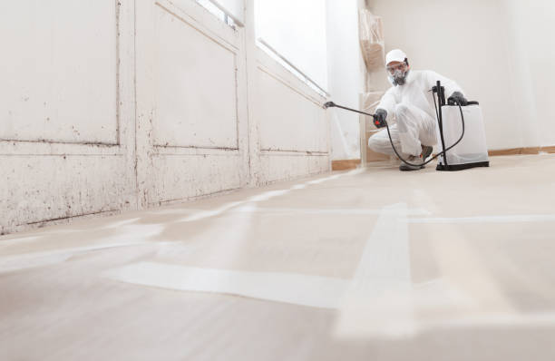 24/7 Emergency Crawl Space Mold Remediation experts in Worcester, MA