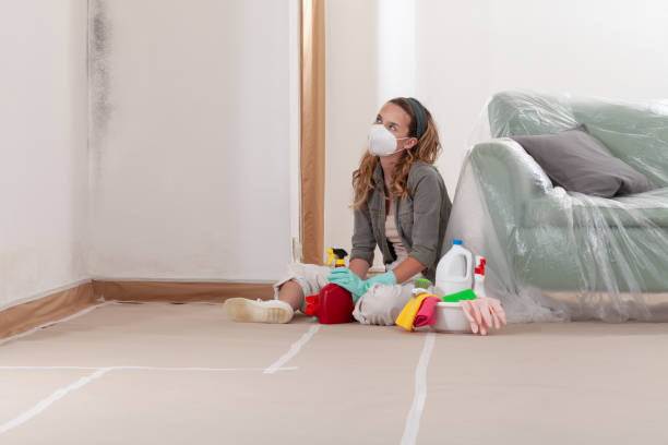 Reliable Crawl Space Mold Remediation contractor in Worcester, MA by Mold Remediation HQ